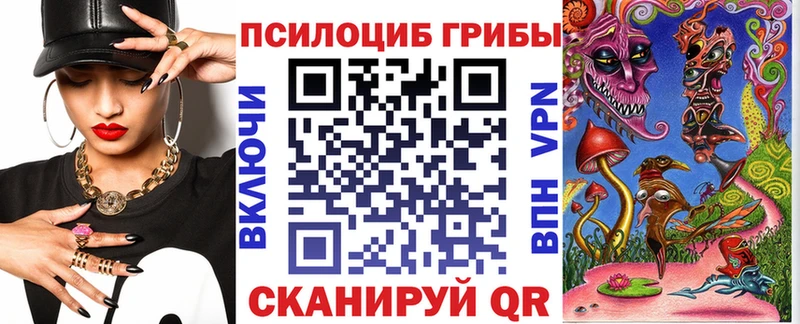 Купить  Тавда  Псилоцибиновые грибы Psilocybine cubensis 